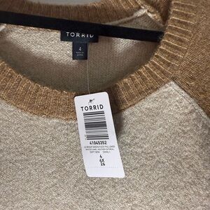 Torrid Cream Crew Neck Sweater Soft Knit